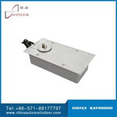 In-ground Swing Door Drive